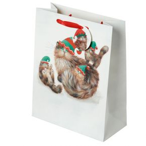 XGBAG99A_001.jpg