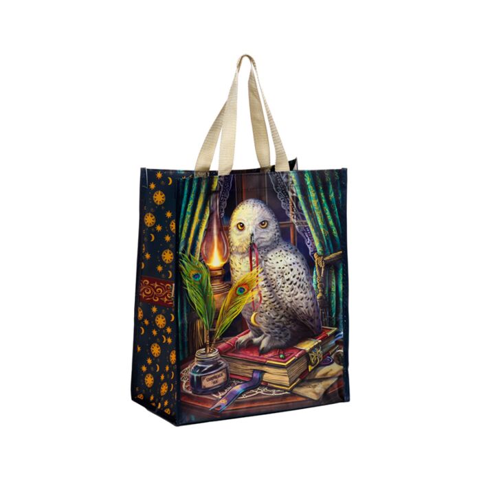 Nákupní taška Sova - strážce kouzel - design Lisa Parker 