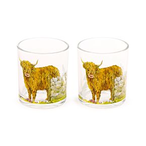 Sklenice - sada 2 ks- 350 ml - Jan Pashley - Skotská kráva Highland Coo 