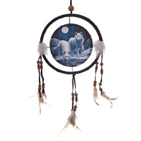 Lapač snů Zimní válečníci, 16cm, design Lisa Parker