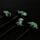 Tužka - guma - Dinosaurus- kostra- neon