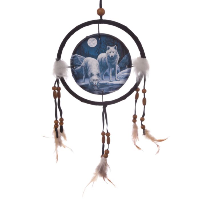 Lapač snů Zimní válečníci, 16cm, design Lisa Parker