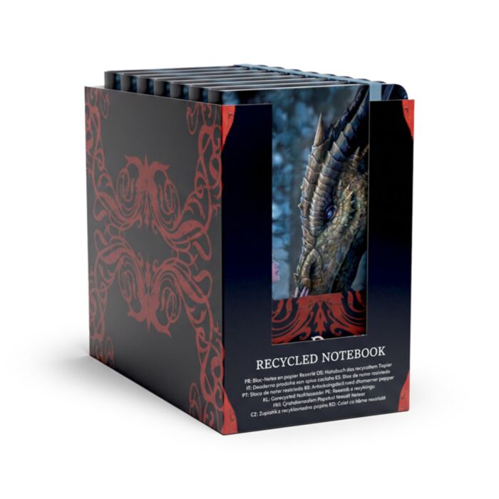A6 zápisník z recyklovaného papíru - Anne Stokes
