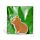 Guma - Kapybara - Capybara