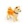Kufřík - Pes Shiba Inu-sada 5 ks